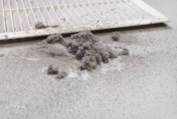 Best Air Vent Cleaning Services  in Lenox, IA