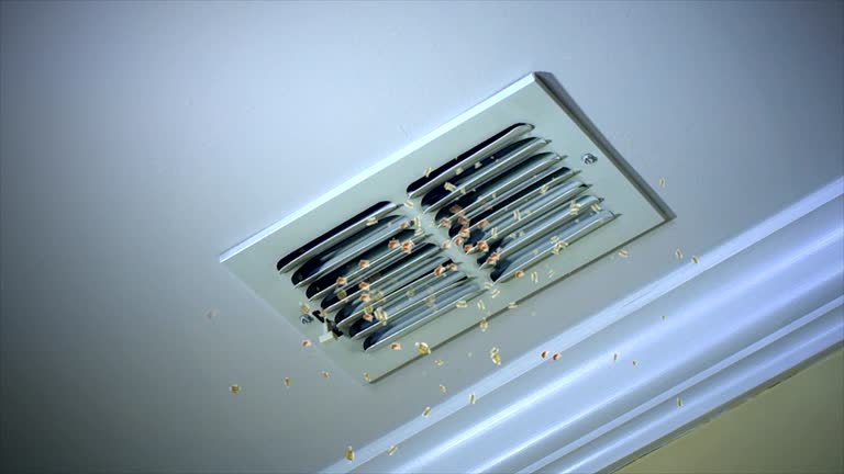 Best Air Duct Cleaning Near Me in IA