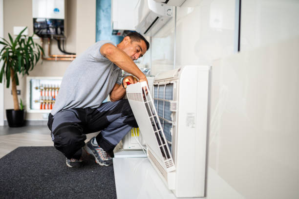 Best Air Duct Mold Removal  in Lenox, IA