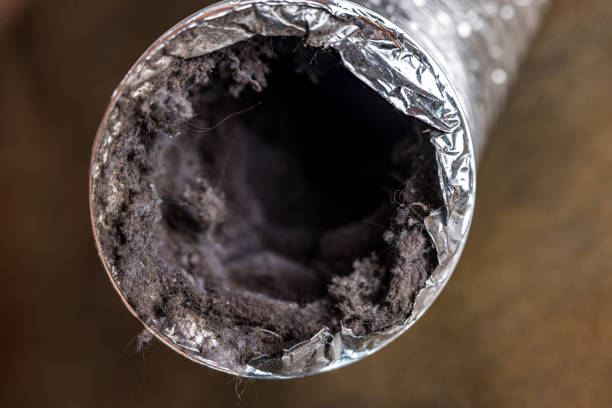 Best Air Duct Cleaning Near Me  in Lenox, IA